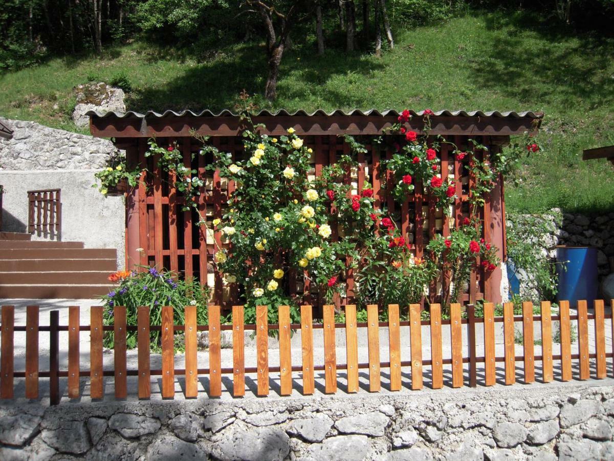 Apartmaji In Sobe Cuder Soča Εξωτερικό φωτογραφία